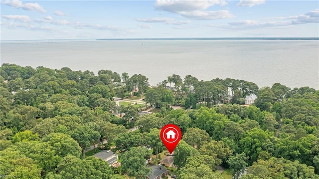2 Sir Francis Wyatt Pl, Newport News, VA 23606 - aerial view of property and surrounding area with a nearby body of water and a heavily wooded area