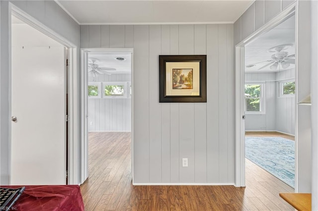 2 Sir Francis Wyatt Pl, Newport News, VA 23606 - corridor featuring wood finished floors and ornamental molding