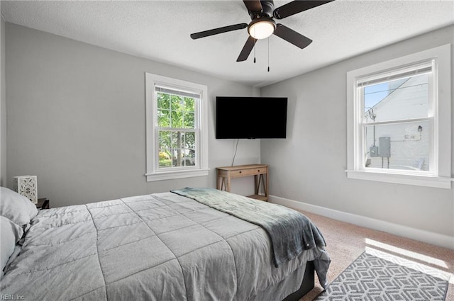 3621 S Warwick Cir, Norfolk, VA 23513 - bedroom with carpet floors, a textured ceiling, and a ceiling fan
