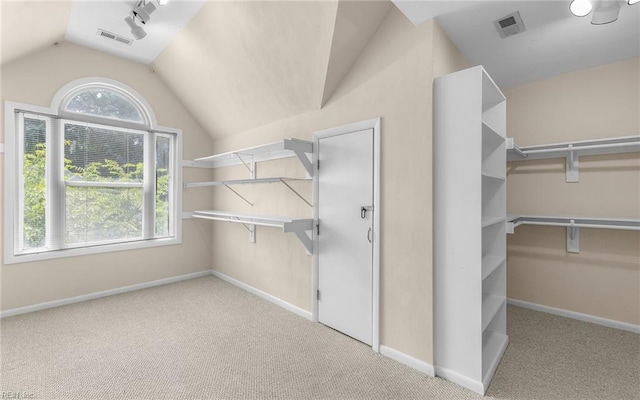1304 Glen Burnie Ct, Virginia Beach, VA 23454 - walk in closet featuring lofted ceiling and carpet floors