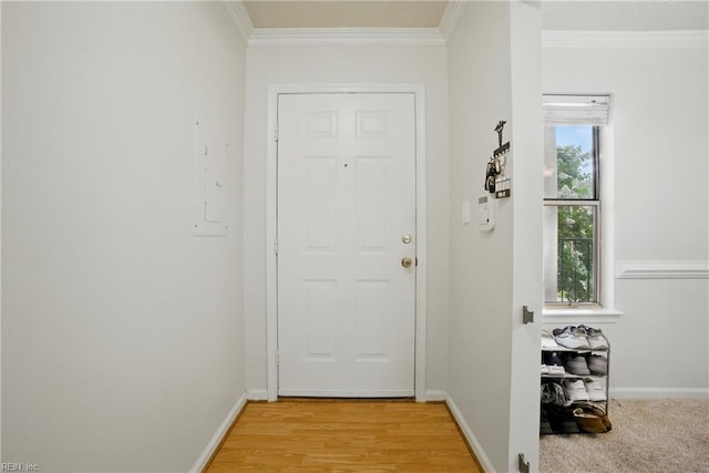 107 Westover Ave Unit 203, Norfolk, VA 23507 - doorway to outside featuring crown molding and light wood-style floors