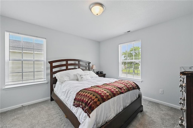 321 Pinner St, Suffolk, VA 23434 - bedroom with carpet and baseboards