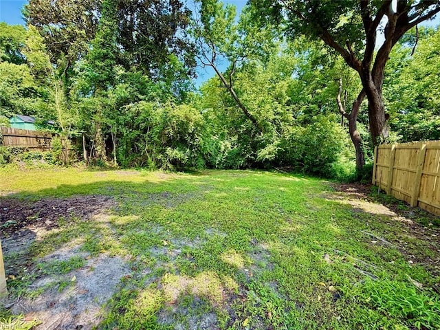 1046 Ivaloo St, Norfolk, VA 23513 - view of yard
