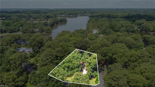 709 Wolfsnare Cres, Virginia Beach, VA 23454 - view of property location featuring a nearby body of water and property boundaries highlighted
