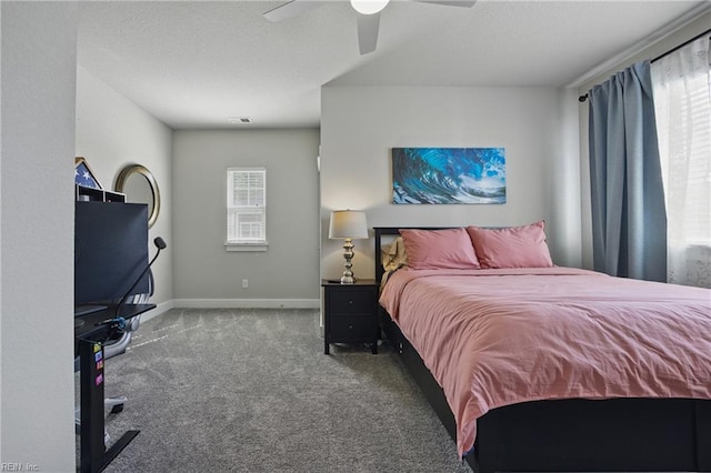 220 Wisdom Path, Chesapeake, VA 23322 - carpeted bedroom with ceiling fan and a textured ceiling