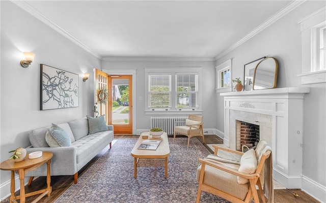 418 Massachusetts Ave, Norfolk, VA 23508 - living room featuring radiator, wood finished floors, a fireplace, and ornamental molding