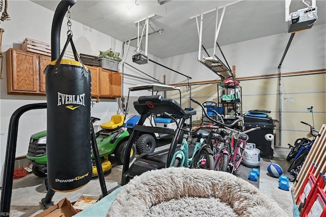 305 Ginkgo Ct, Suffolk, VA 23435 - garage with a garage door opener