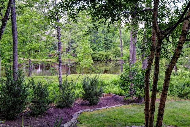 117 Stowe, Williamsburg, VA 23188