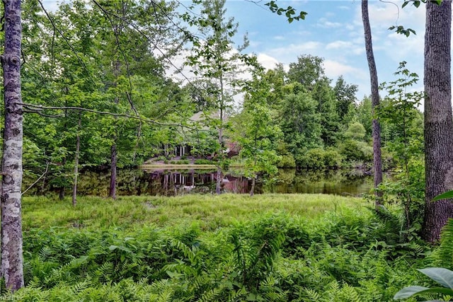 117 Stowe, Williamsburg, VA 23188