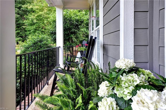117 Stowe, Williamsburg, VA 23188