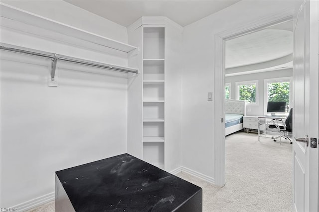 1207 Masers Row, Chesapeake, VA 23320 - spacious closet with carpet flooring