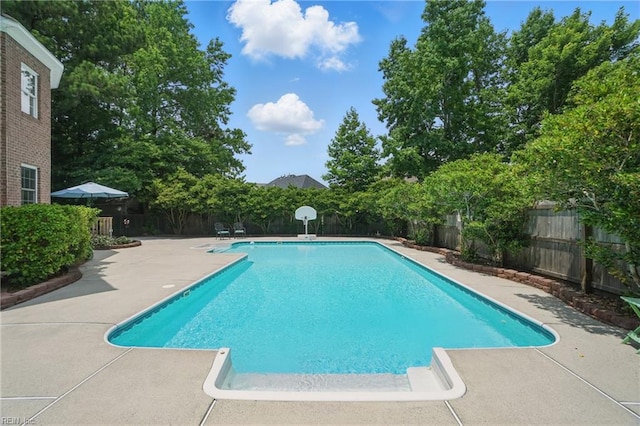 2316 Holland Rd, Virginia Beach, VA 23453 - view of swimming pool featuring a patio and a fenced backyard