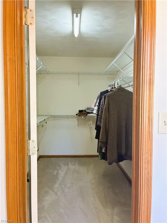 937 Marble Arch, Chesapeake, VA 23322 - walk in closet with carpet floors