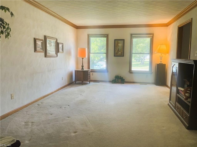 937 Marble Arch, Chesapeake, VA 23322 - unfurnished living room featuring carpet flooring and ornamental molding