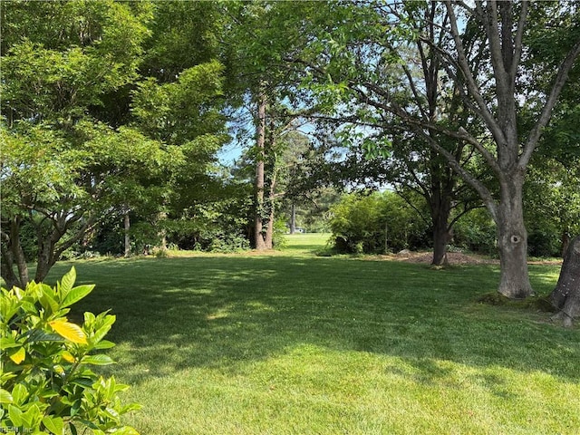 937 Marble Arch, Chesapeake, VA 23322 - view of green lawn