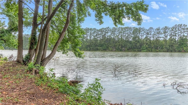 969 Sunnyside Dr, Virginia Beach, VA 23464 - water view with a forest