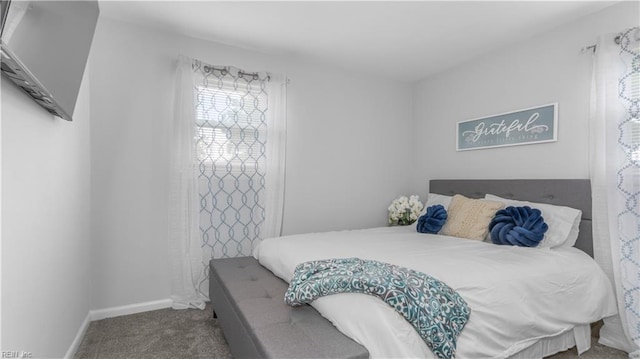 969 Sunnyside Dr, Virginia Beach, VA 23464 - bedroom featuring carpet floors and baseboards