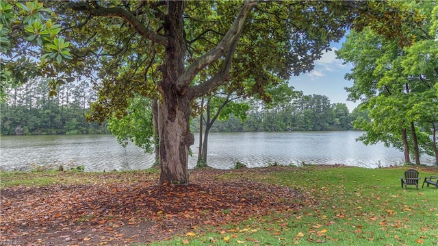 969 Sunnyside Dr, Virginia Beach, VA 23464 - water view with a heavily wooded area