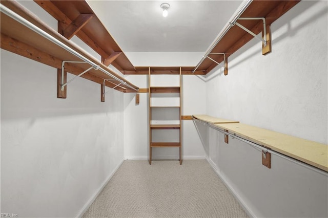 2505 Castle Hill Ct, Virginia Beach, VA 23454 - walk in closet with light carpet