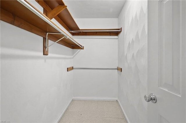 2505 Castle Hill Ct, Virginia Beach, VA 23454 - walk in closet featuring carpet floors