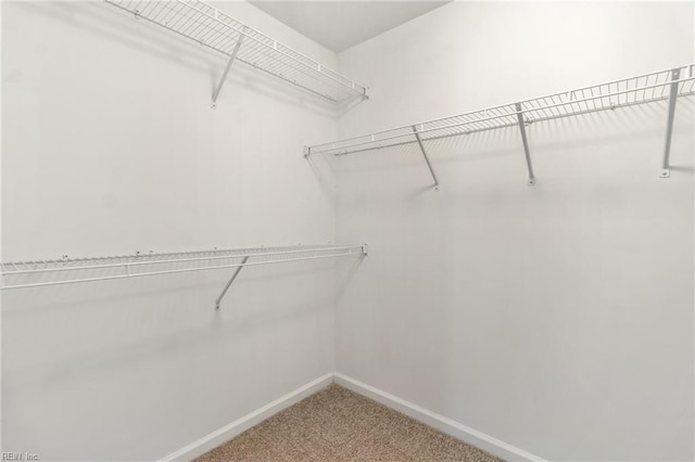 3112 Sybilla St, Chesapeake, VA 23323 - spacious closet featuring light colored carpet