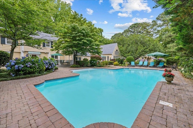 537 Cavalier Dr, Virginia Beach, VA 23451 - outdoor pool with a patio