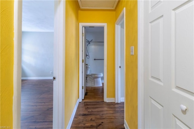 3724 Radford Cir, Chesapeake, VA 23321 - corridor featuring dark wood-style flooring and baseboards