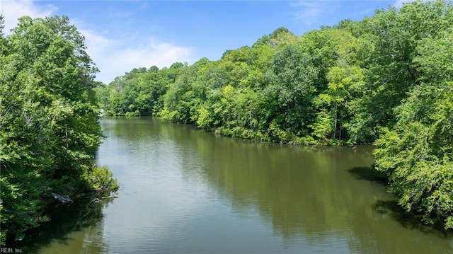 19AC Hilltop Ln, Smithfield, VA 23430
