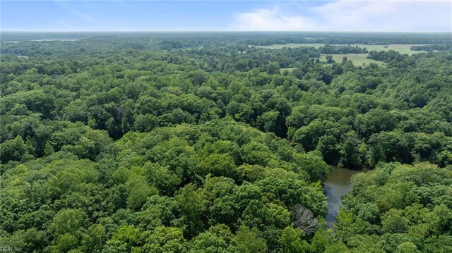 19AC Hilltop Ln, Smithfield, VA 23430
