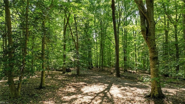 19AC Hilltop Ln, Smithfield, VA 23430