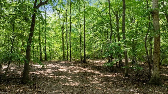 19AC Hilltop Ln, Smithfield, VA 23430