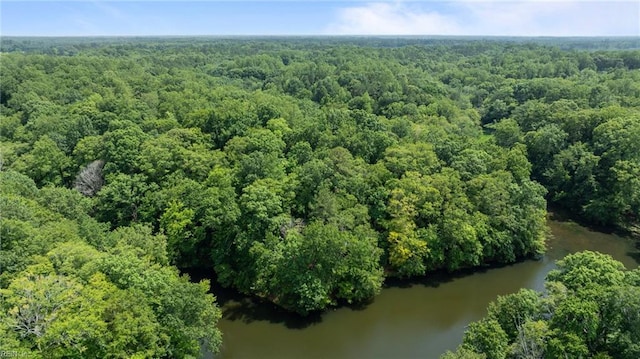 19AC Hilltop Ln, Smithfield, VA 23430