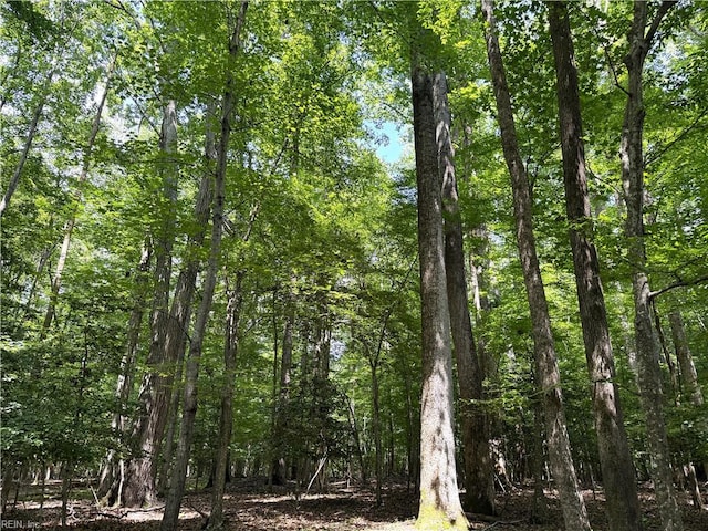 19AC Hilltop Ln, Smithfield, VA 23430