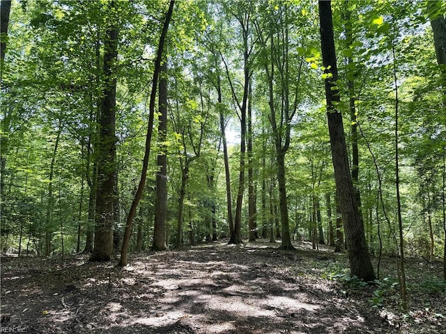 19AC Hilltop Ln, Smithfield, VA 23430