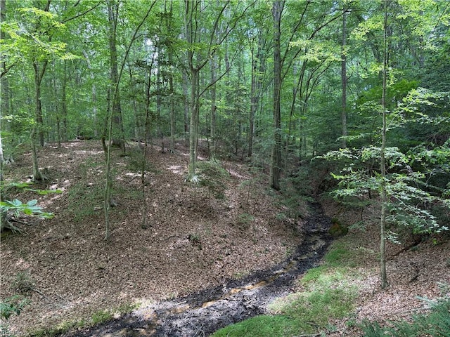 19AC Hilltop Ln, Smithfield, VA 23430