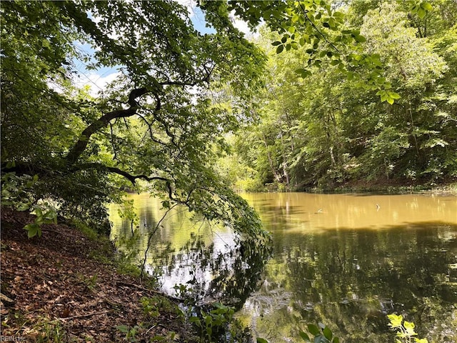 19AC Hilltop Ln, Smithfield, VA 23430