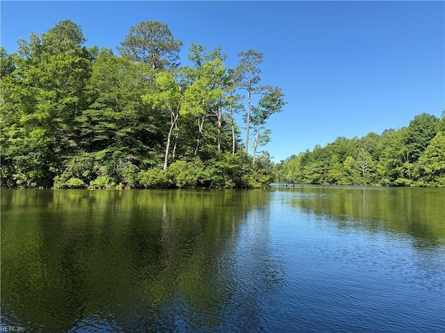 19AC Hilltop Ln, Smithfield, VA 23430