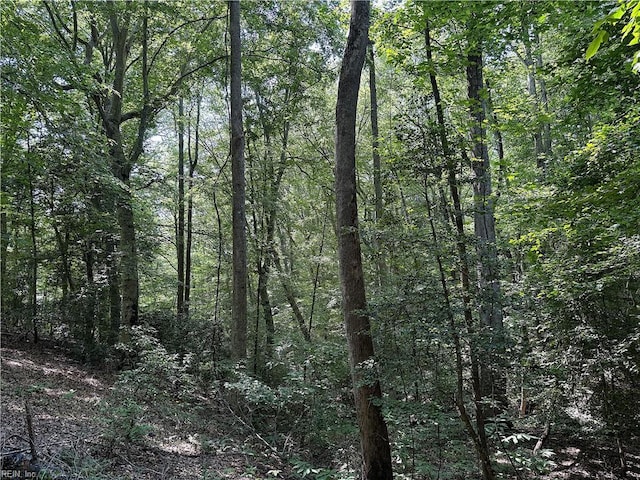 19AC Hilltop Ln, Smithfield, VA 23430