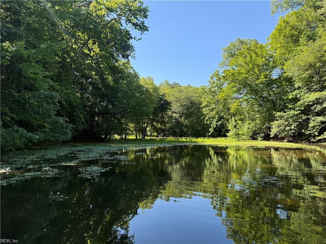 19AC Hilltop Ln, Smithfield, VA 23430