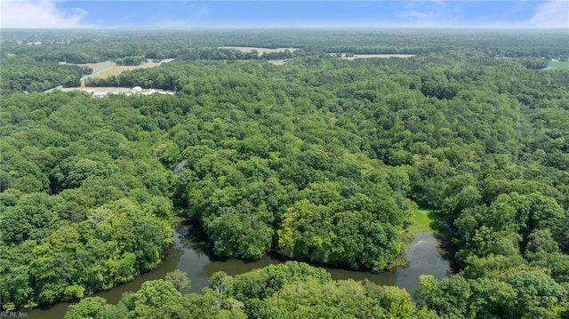 19AC Hilltop Ln, Smithfield, VA 23430