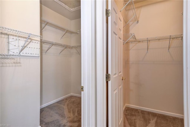 6667 Rexford Ln, Williamsburg, VA 23188 - spacious closet featuring carpet floors