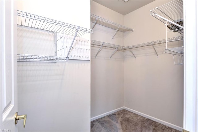 6667 Rexford Ln, Williamsburg, VA 23188 - walk in closet with carpet flooring