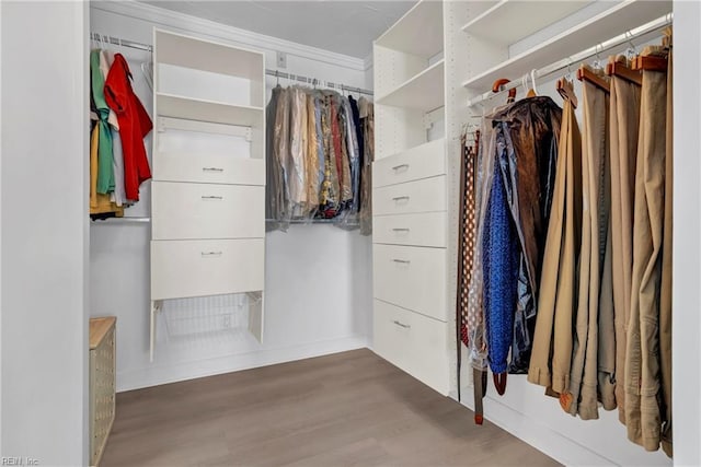 4004 Atlantic Ave Unit 309, Virginia Beach, VA 23451 - spacious closet with wood finished floors