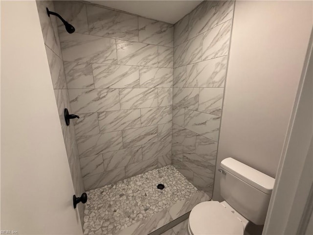613 Presidential Blvd, Virginia Beach, VA 23452 - bathroom with a tile shower and toilet