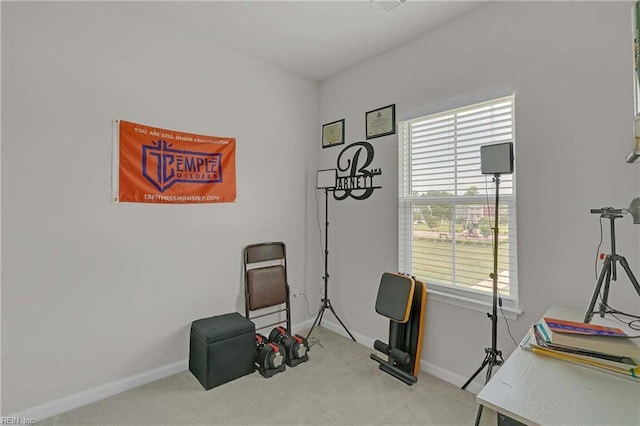 4321 Sconce, Williamsburg, VA 23188 - miscellaneous room featuring carpet floors and baseboards