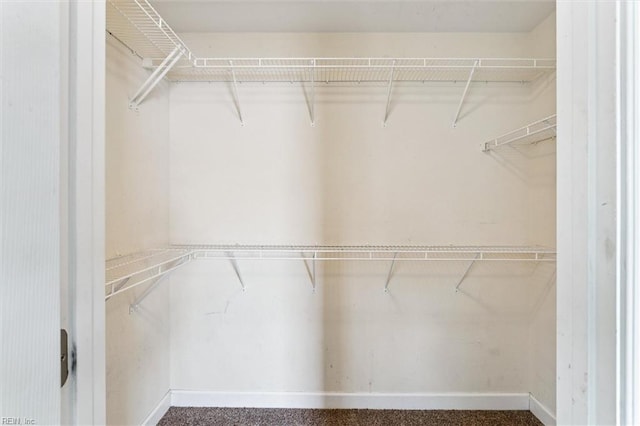 305 Roane Dr, Hampton, VA 23669 - view of spacious closet