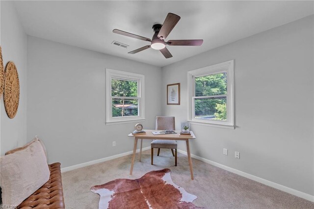 1226 Penniman Rd, Williamsburg, VA 23185 - office area featuring healthy amount of natural light, ceiling fan, and carpet floors