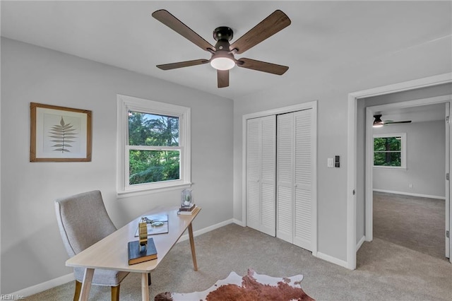 1226 Penniman Rd, Williamsburg, VA 23185 - office space with ceiling fan and carpet