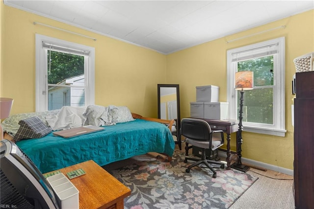 8048 Tidewater Dr, Norfolk, VA 23505 - bedroom featuring multiple windows