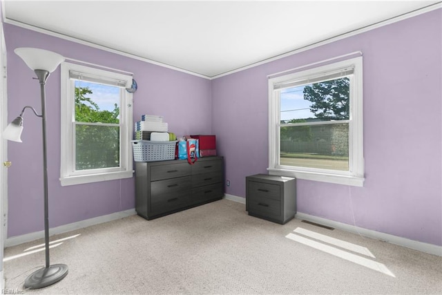 8048 Tidewater Dr, Norfolk, VA 23505 - bedroom with carpet floors and ornamental molding
